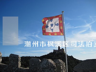 潮州市枫溪区司法拍卖 潮州市枫溪区司法拍卖