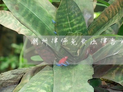 潮州律师免费法律咨询 潮州律师免费法律咨询