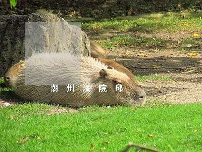 潮州法院邱 潮州法院邱