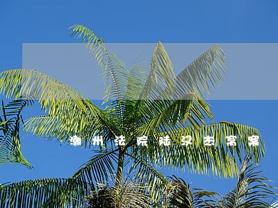 潮州法院陆汉杰窝案