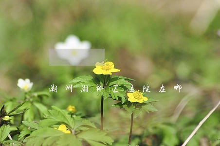 潮州湘桥区法院在哪 潮州湘桥区法院在哪