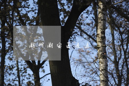 潮州潮安区违法 潮州潮安区违法