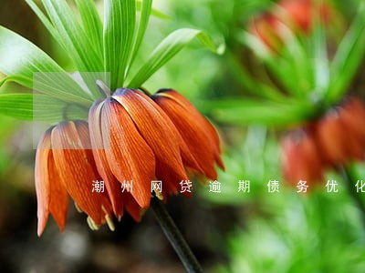 潮州网贷逾期债务优化怎么收费 潮州网贷逾期债务优化怎么收费