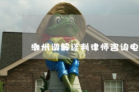 潮州调解谈判律师咨询电话 潮州调解谈判律师咨询电话
