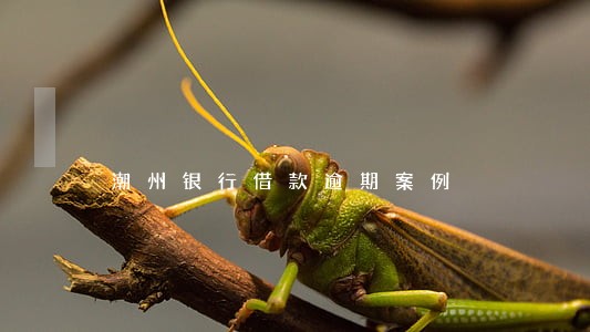 潮州银行借款逾期案例 潮州银行借款逾期案例