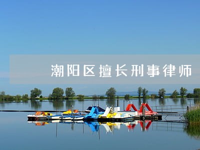 潮阳区擅长刑事律师 潮阳区擅长刑事律师