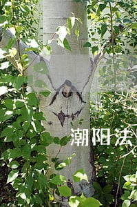 潮阳法院刑一庭陈 潮阳法院刑一庭陈