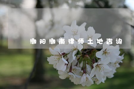 潮阳潮南律师土地咨询