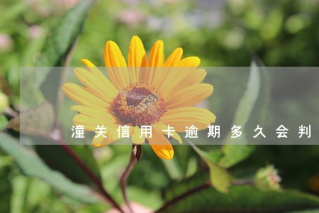 潼关信用卡逾期多久会判刑