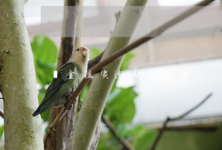 潽金租赁逾期会怎样 潽金租赁逾期会怎样