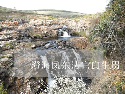 澄海凤东法官良生贯