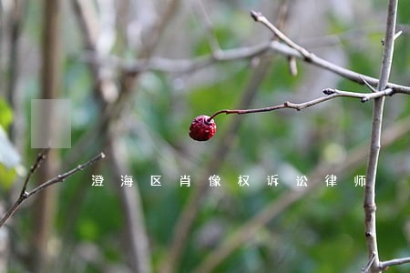 澄海区肖像权诉讼律师 澄海区肖像权诉讼律师