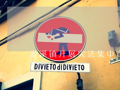 澄溪镇开展宪法集中宣传活动 澄溪镇开展宪法集中宣传活动