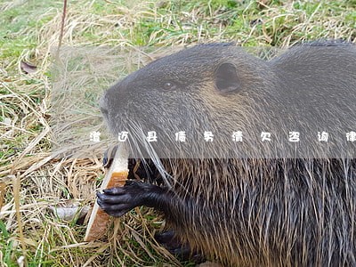 澄迈县债务清欠咨询律师 澄迈县债务清欠咨询律师