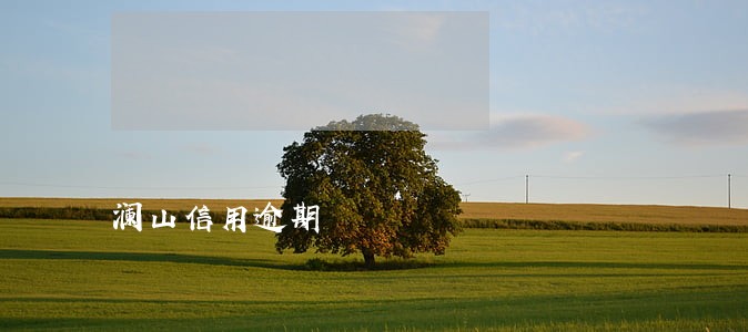澜山信用逾期 澜山信用逾期