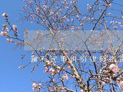 澜石民事纠纷律师咨询免费热线 澜石民事纠纷律师咨询免费热线