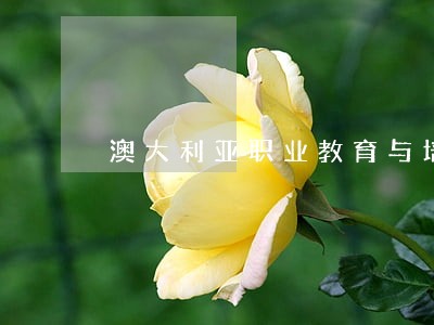 澳大利亚职业教育与培训立法研究 澳大利亚职业教育与培训立法研究