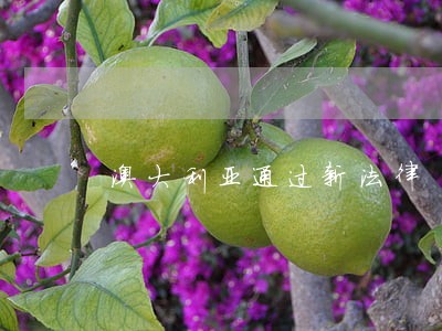 澳大利亚通过新法律 澳大利亚通过新法律