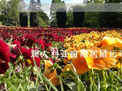 澳大利亚逾期居留后再申请 澳大利亚逾期居留后再申请