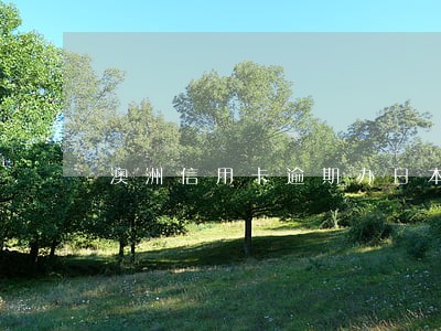 澳洲信用卡逾期办日本签证 澳洲信用卡逾期办日本签证
