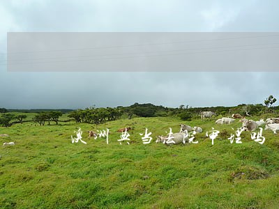 澳洲典当法院审理吗 澳洲典当法院审理吗
