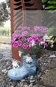澳洲学生签证逾期三个月了 澳洲学生签证逾期三个月了
