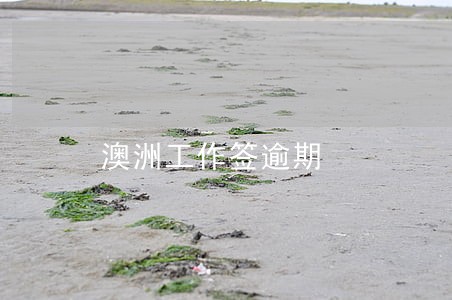 澳洲工作签逾期 澳洲工作签逾期