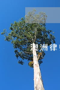 澳洲律师可以在哪里执业 澳洲律师可以在哪里执业