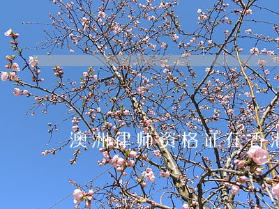 澳洲律师资格证在香港 澳洲律师资格证在香港
