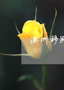 澳洲移民律师 澳洲移民律师