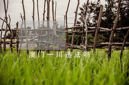 澳门一川违法吗 澳门一川违法吗
