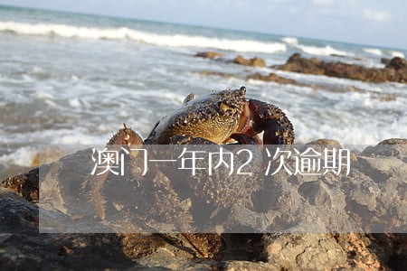 澳门一年内2次逾期 澳门一年内2次逾期