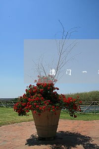 澳门一年逾期两次会怎样 澳门一年逾期两次会怎样