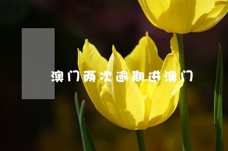 澳门两次逾期进澳门 澳门两次逾期进澳门