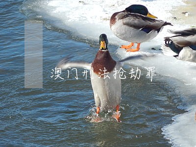 澳门刑法抢劫罪 澳门刑法抢劫罪