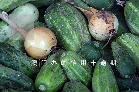 澳门办的信用卡逾期 澳门办的信用卡逾期