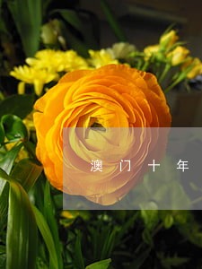 澳门十年逾期上门 澳门十年逾期上门