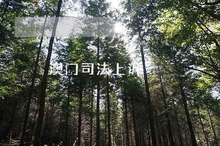 澳门司法上诉 澳门司法上诉