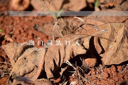 澳门司法打人