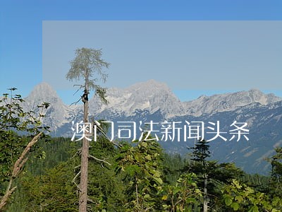 澳门司法新闻头条 澳门司法新闻头条