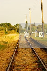 澳门因疫情签注逾期滞留 澳门因疫情签注逾期滞留