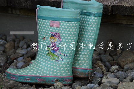 澳门投诉司法电话是多少钱