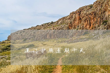 澳门护照逾期十天 澳门护照逾期十天