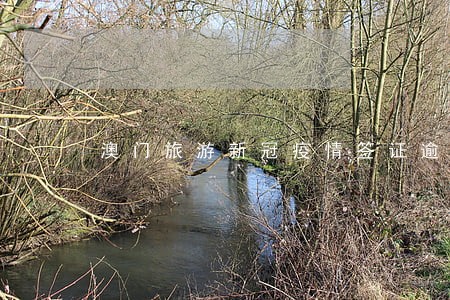 澳门旅游新冠疫情签证逾期 澳门旅游新冠疫情签证逾期