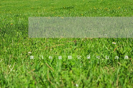 澳门有逾期记录可以办商务签吗 澳门有逾期记录可以办商务签吗