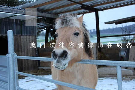 澳门法律咨询律师在线咨询 澳门法律咨询律师在线咨询