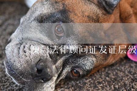 澳门法律顾问证发证层级 澳门法律顾问证发证层级