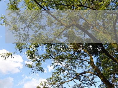 澳门法院开庭语言