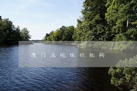澳门法院组织机构