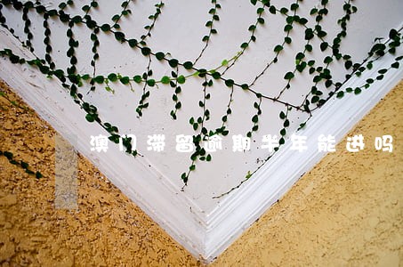 澳门滞留逾期半年能进吗 澳门滞留逾期半年能进吗